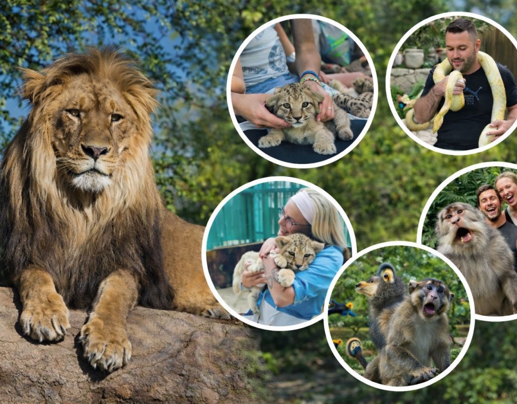 Green Canyon, Manavgat Waterfall & Zoo Park Tour
