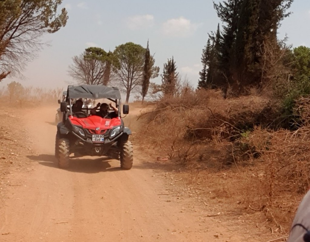 Private Buggy Safari