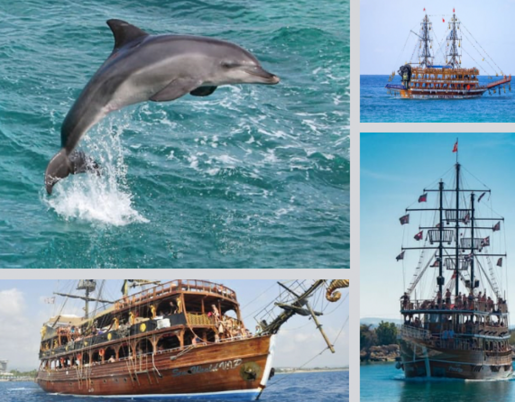 DELPHIN INSEL